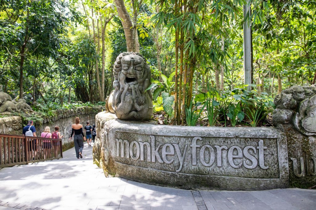 Serunya berwisata ke Hutan Monyet di Ubud